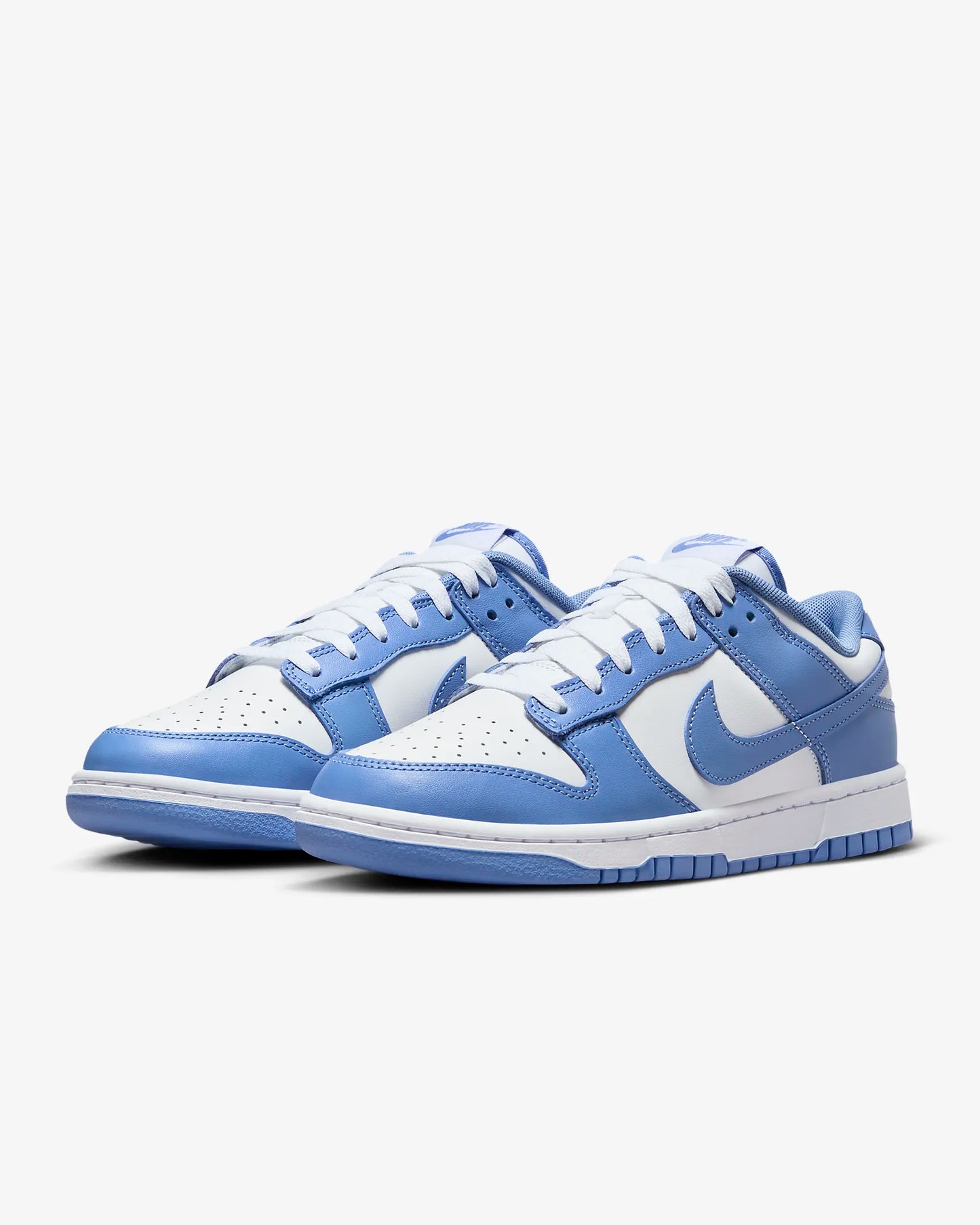 Nike Dunk Low Retro DV0833-400