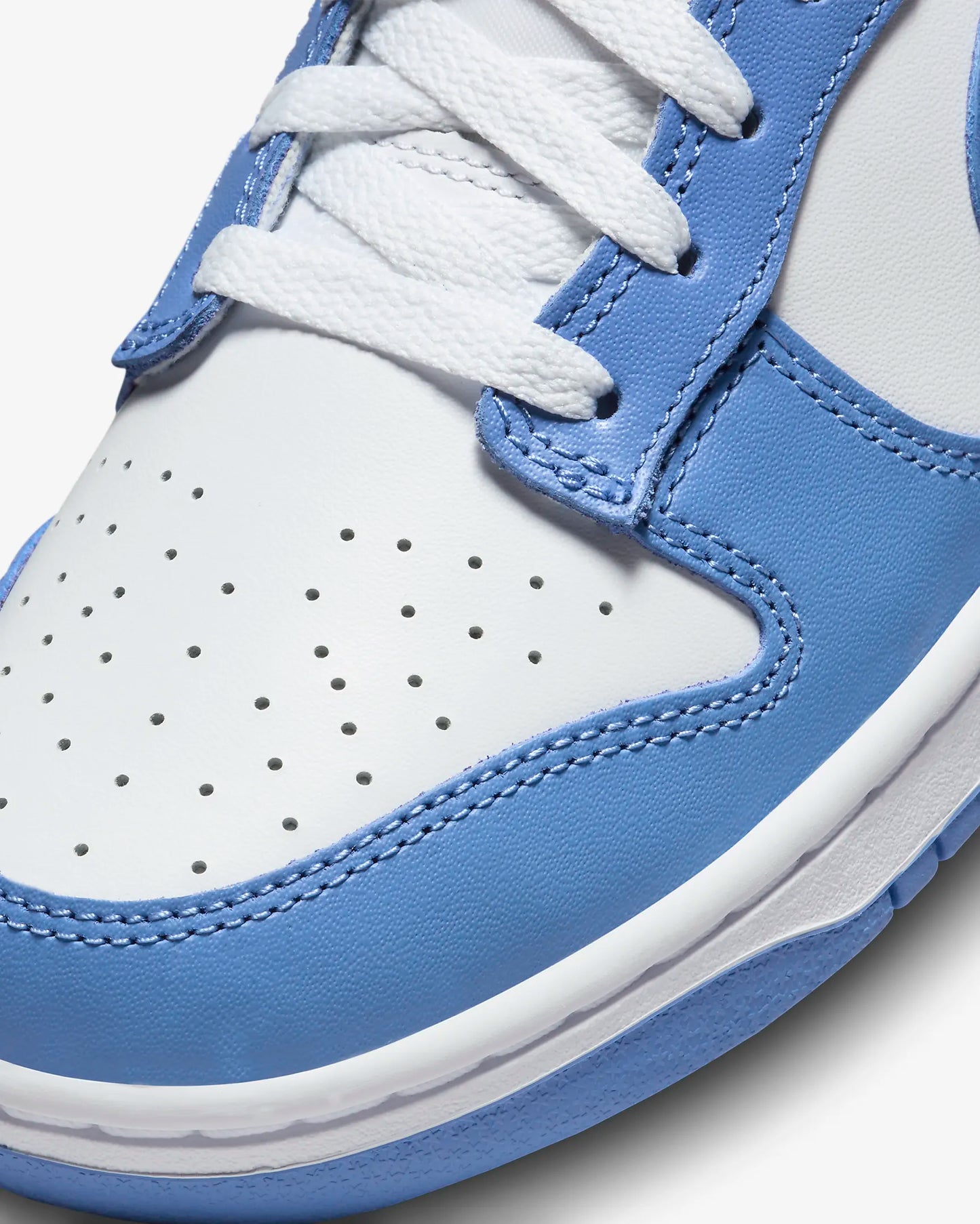 Nike Dunk Low Retro DV0833-400