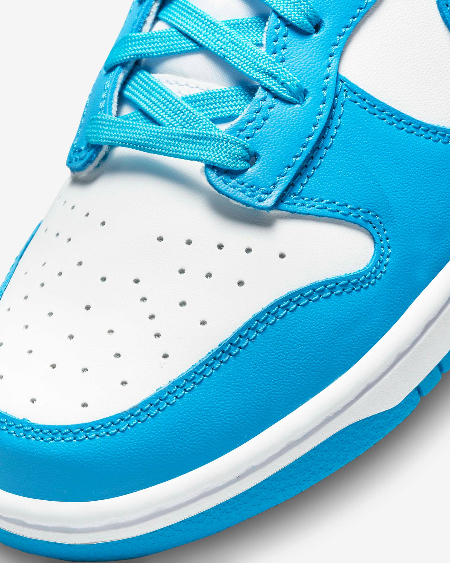 Nike Dunk Hi Retro DD1399-400