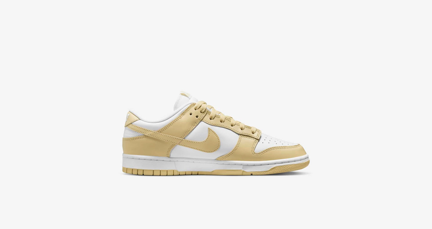 Nike Dunk Low Retro DV0833-100