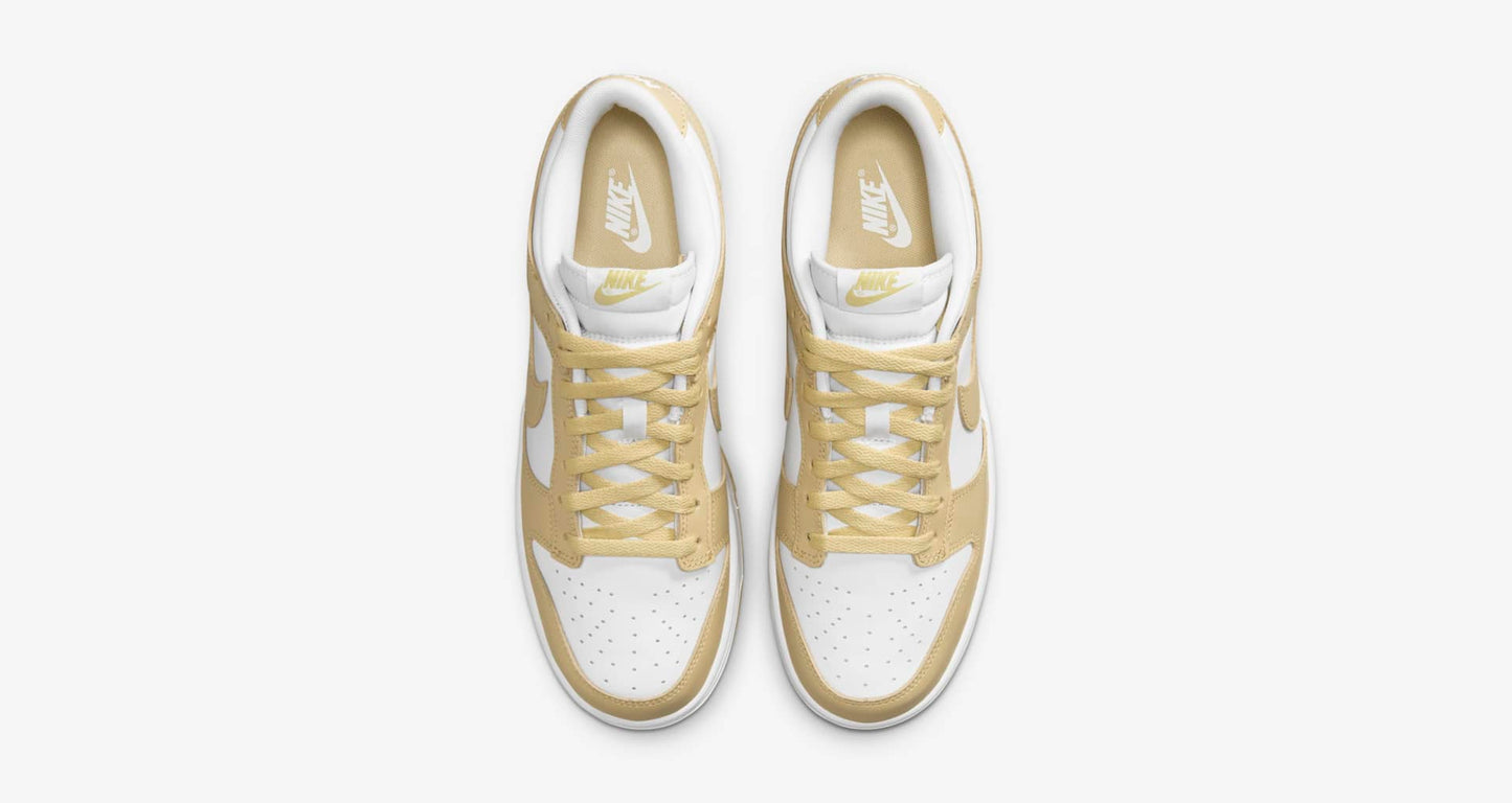 Nike Dunk Low Retro DV0833-100