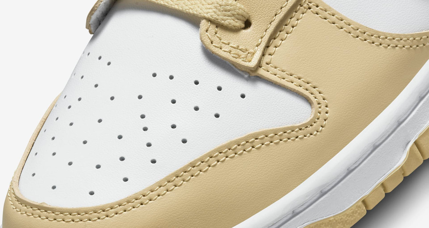 Nike Dunk Low Retro DV0833-100