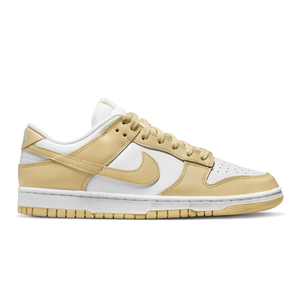 Nike Dunk Low Retro DV0833-100