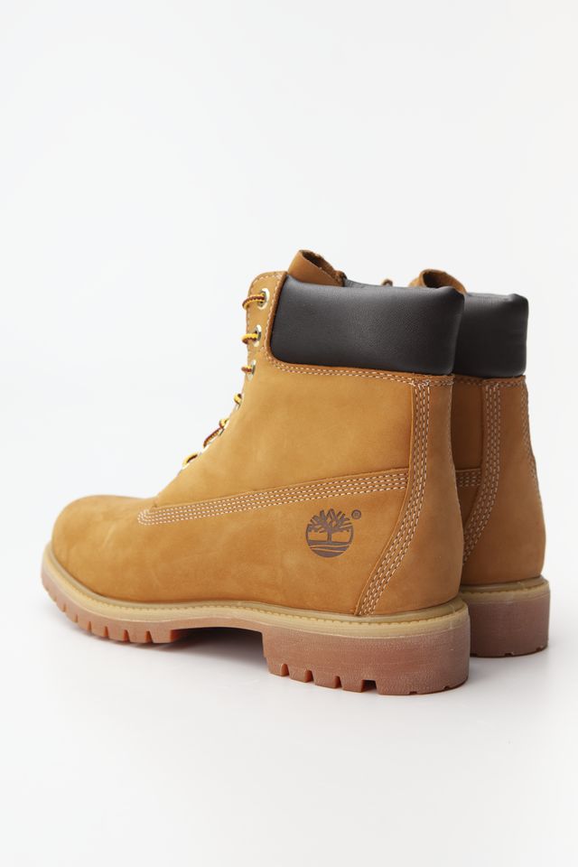 Timberland Classic Premium 6-IN Waterproof 10061