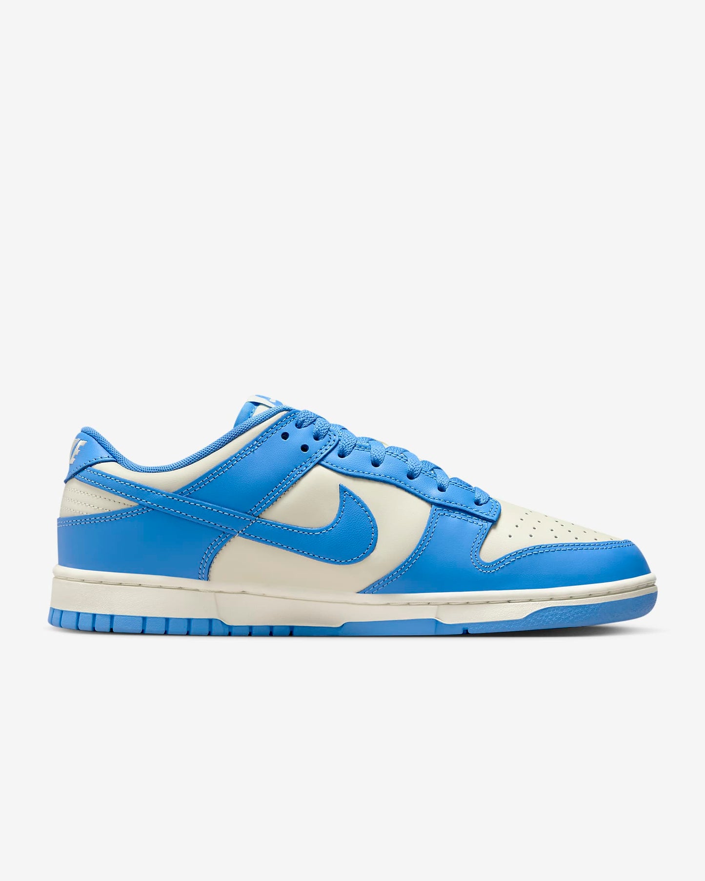 Nike Dunk Low Retro DV0833-113