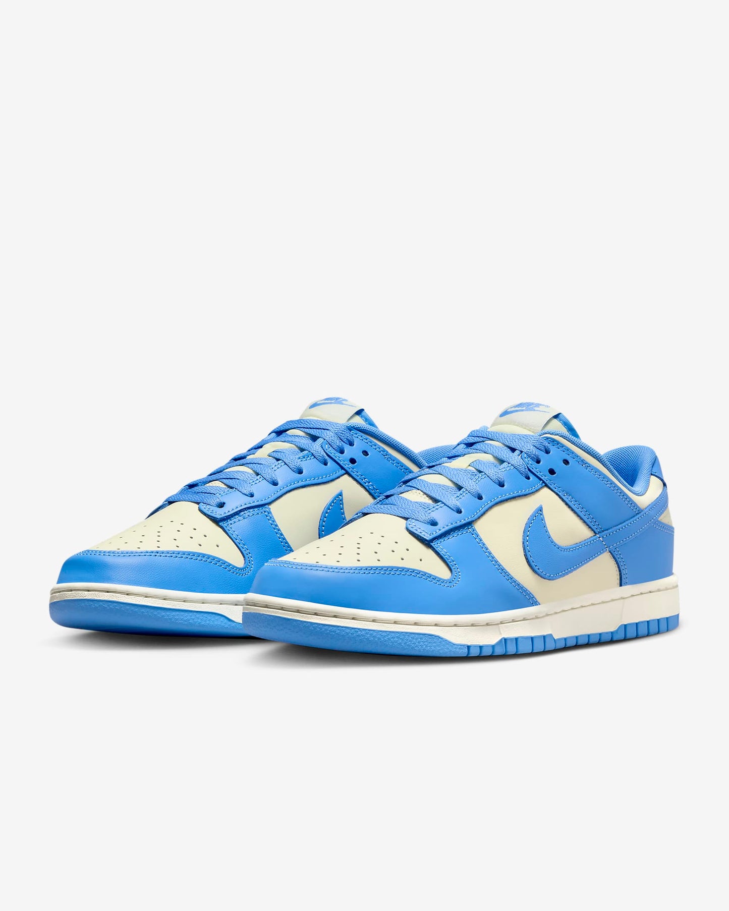 Nike Dunk Low Retro DV0833-113