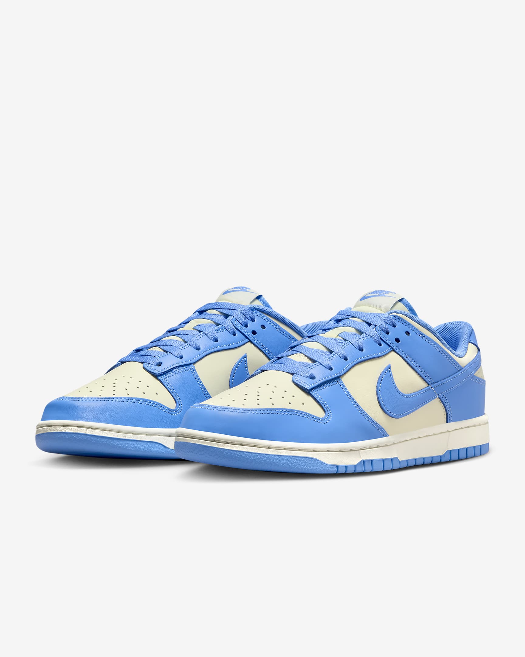 Nike Dunk Low Retro DV0833-113