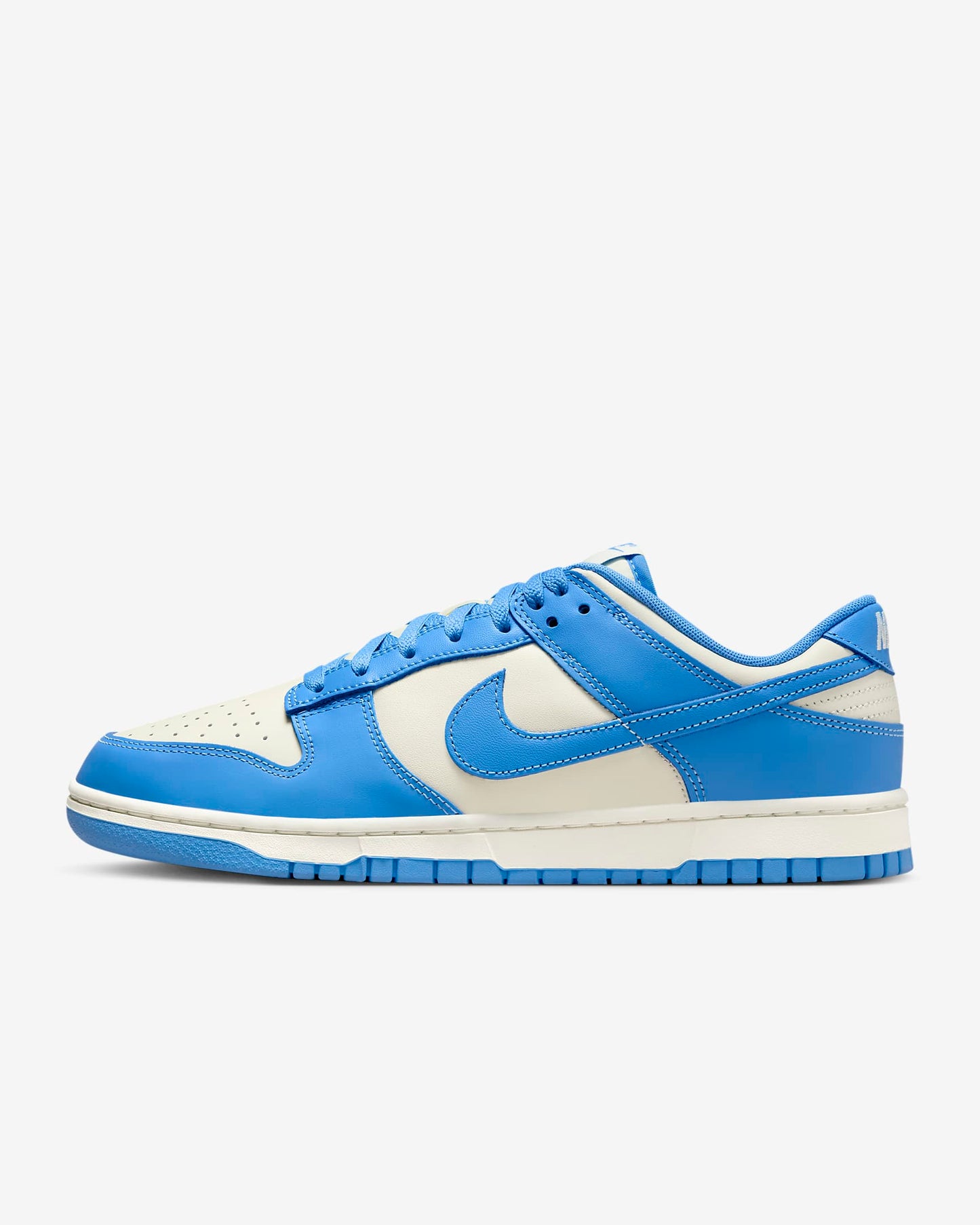 Nike Dunk Low Retro DV0833-113