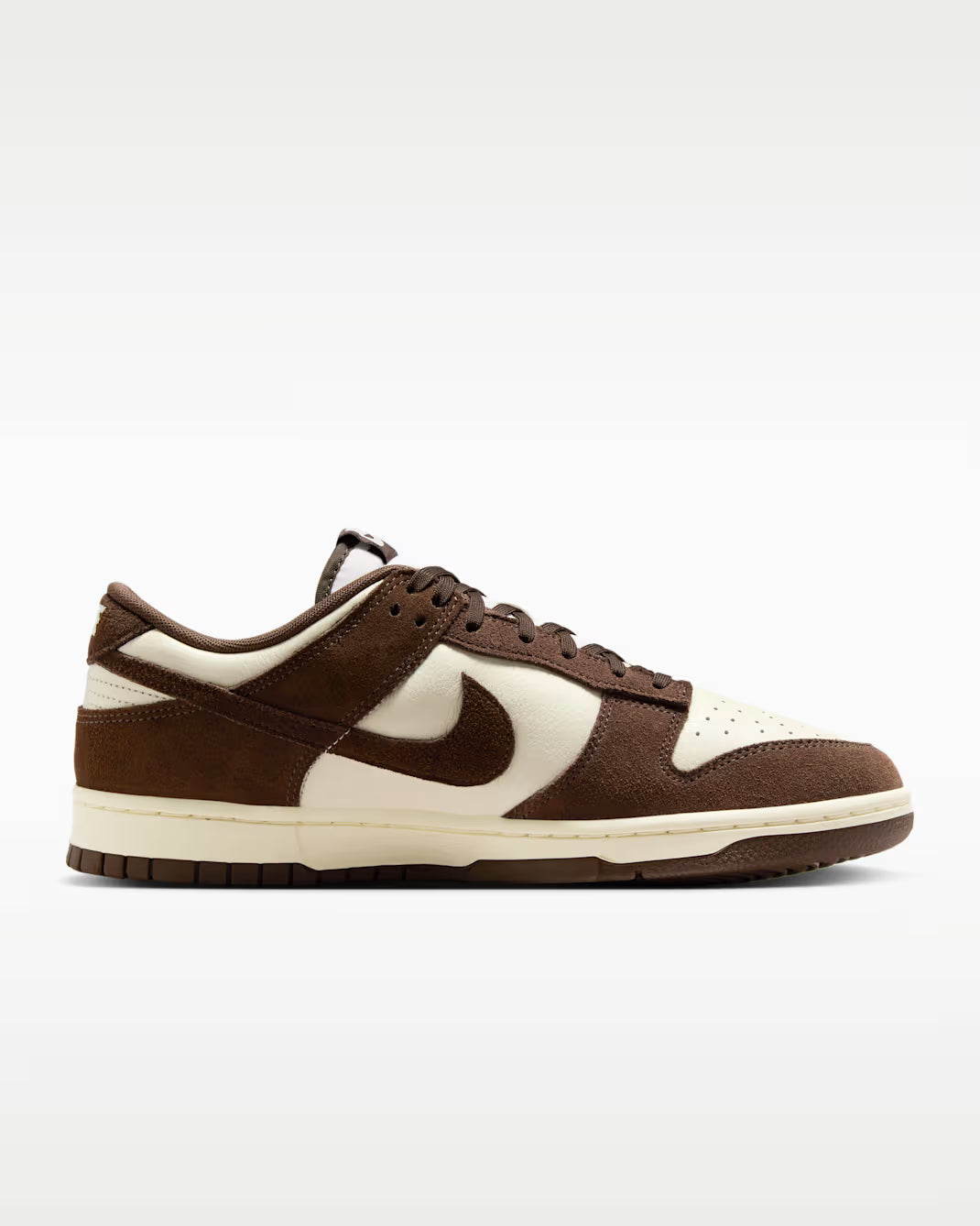 Nike Dunk Low Retro Se FQ8249-104