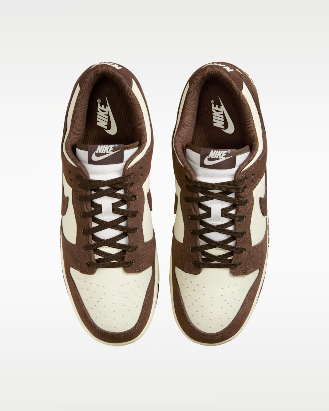Nike Dunk Low Retro Se FQ8249-104