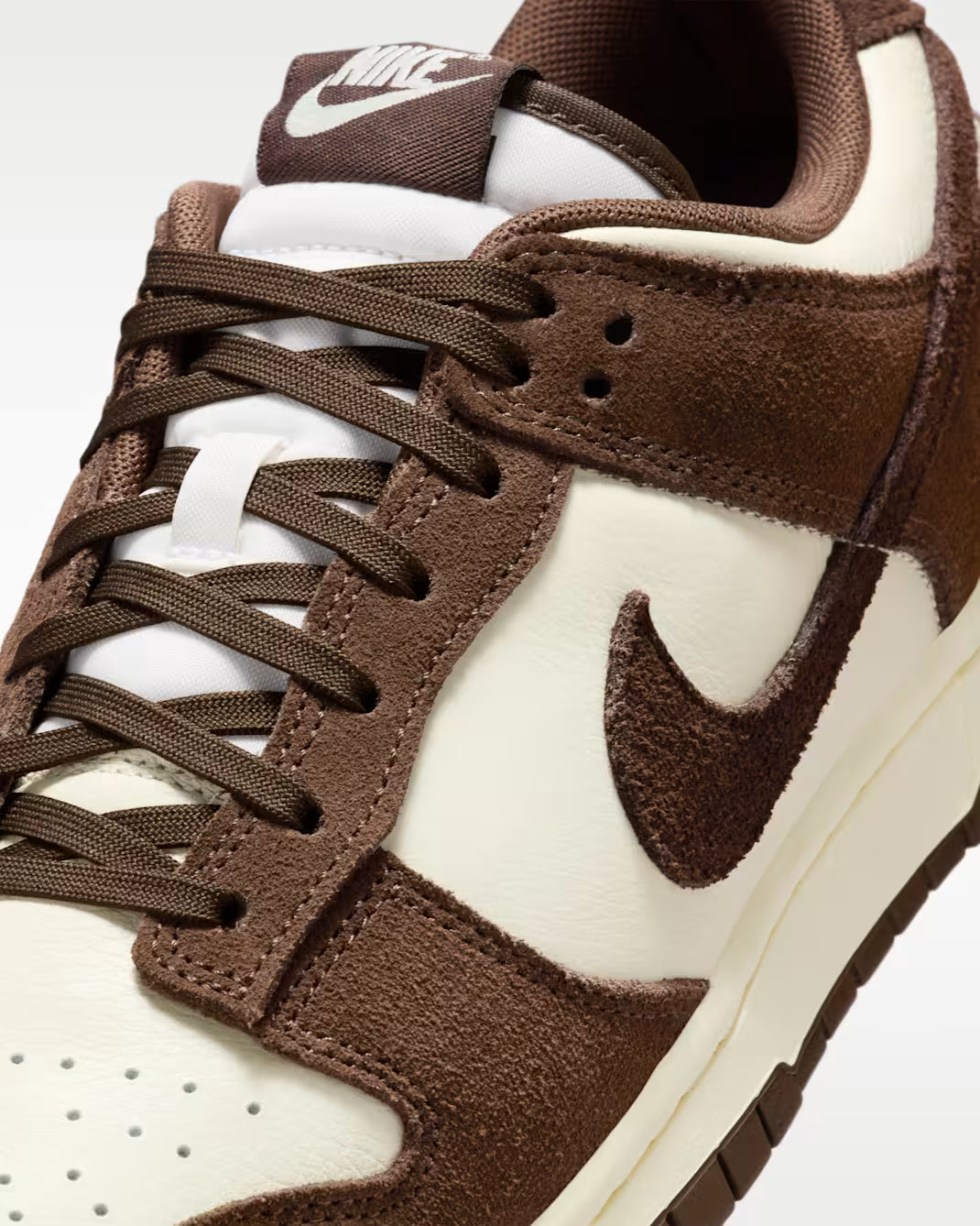 Nike Dunk Low Retro Se FQ8249-104