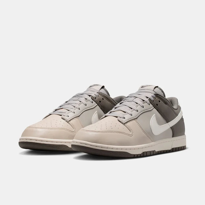 Nike Dunk Low Retro HF5441-009