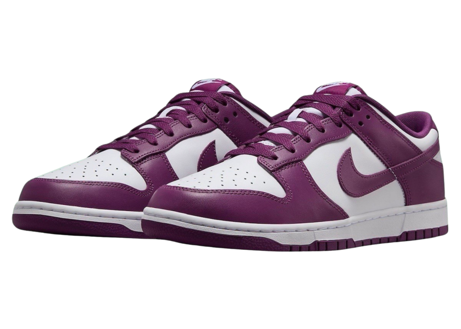 Nike Dunk Low Retro DV0833-107