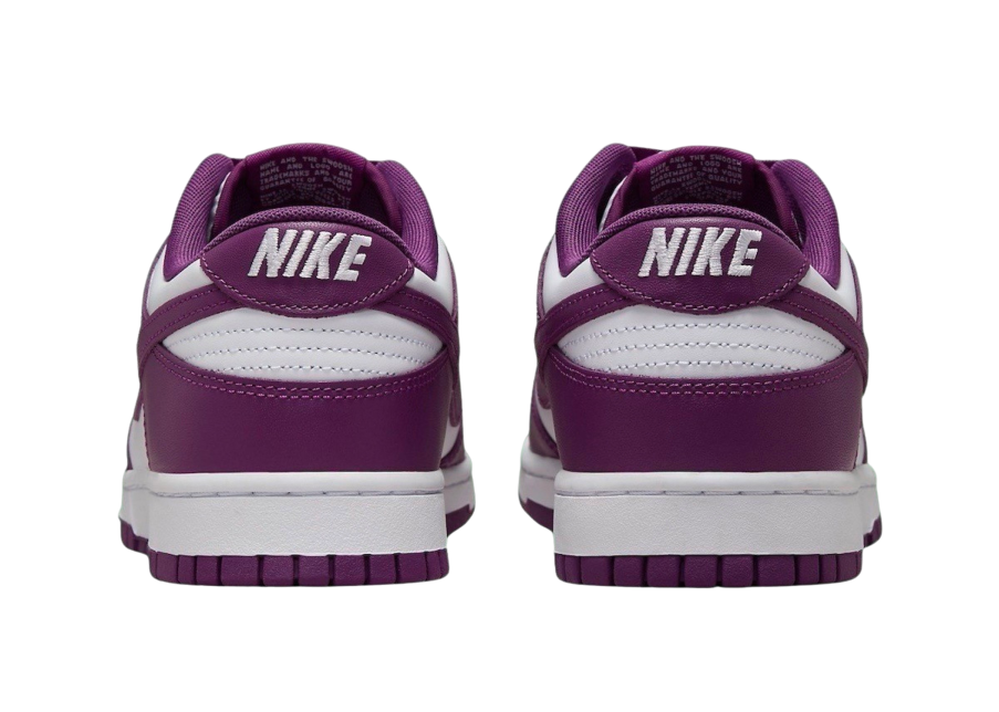 Nike Dunk Low Retro DV0833-107