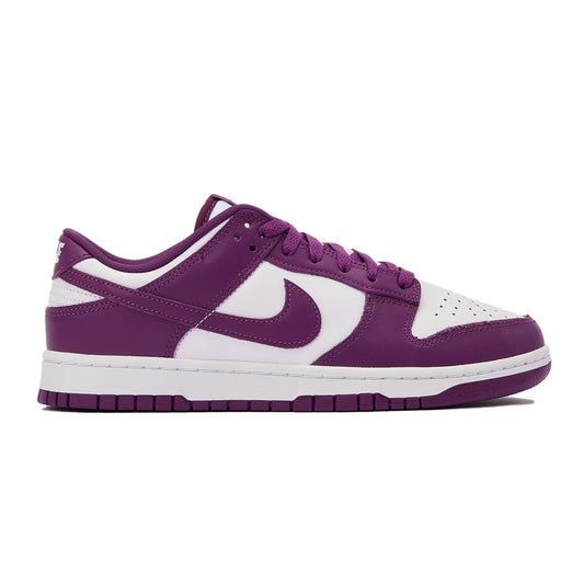 Nike Dunk Low Retro DV0833-107