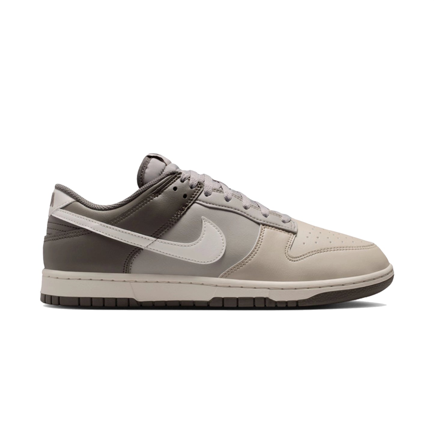Nike Dunk Low Retro HF5441-009