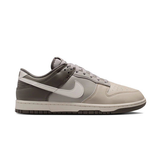 Nike Dunk Low Retro HF5441-009